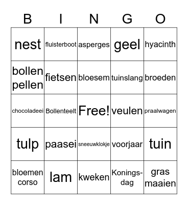 Taalcafé Noordwijk - voorjaar Bingo Card