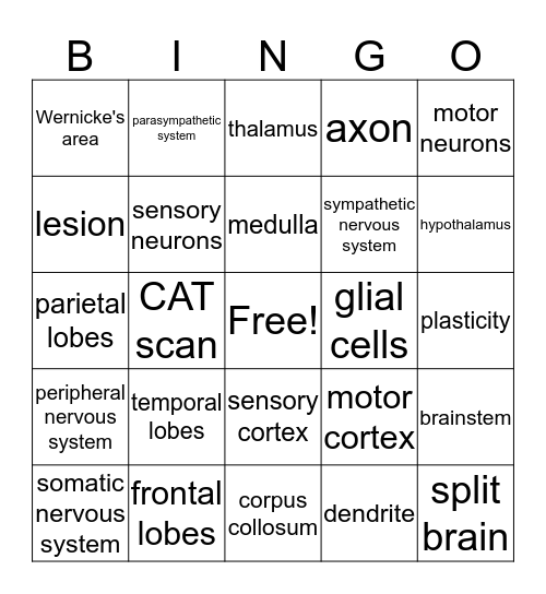 Biological Bingo (AP Psychology) Bingo Card