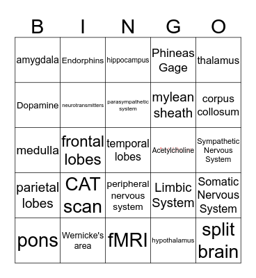 Biological Bingo (AP Psychology) Bingo Card