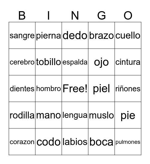 Cuerpo Humano Bingo Card