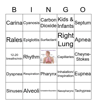 Respiratory Bingo  Bingo Card