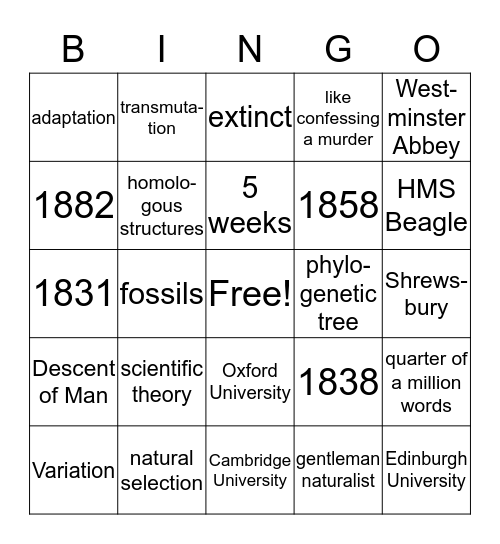 EVOLUTION Bingo Card