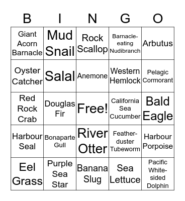 Critter Bingo Card