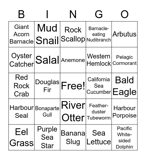 Critter Bingo Card