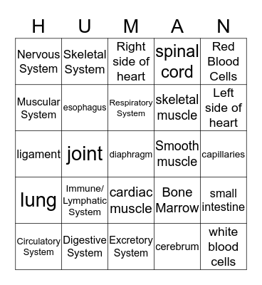 Human Body Systems Bingo Card