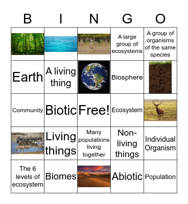 The 6 Levels Of Organization in an Ecosystem  Bingo Card
