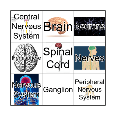 KNOWING THE HUMAN BRAIN Bingo Card