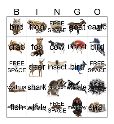 Animals Bingo Card