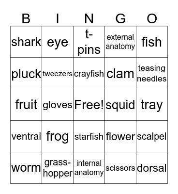 Science Dissection Bingo Card
