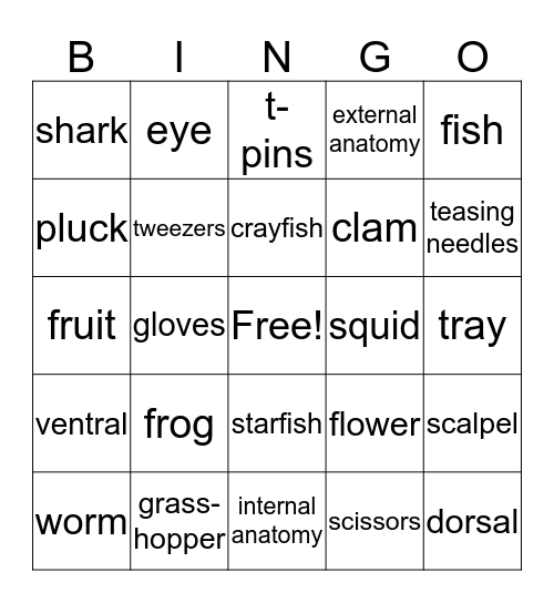 Science Dissection Bingo Card