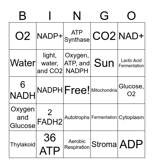 Cellular Energetic's Review Bingo Card