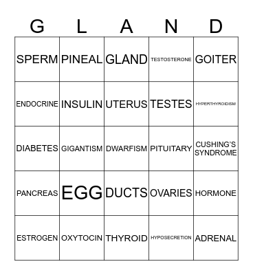 ENDOCRINE SYSTEM BINGO  Bingo Card