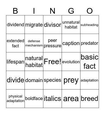 Vocabulary Bingo! Bingo Card