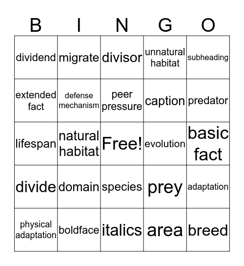 Vocabulary Bingo! Bingo Card