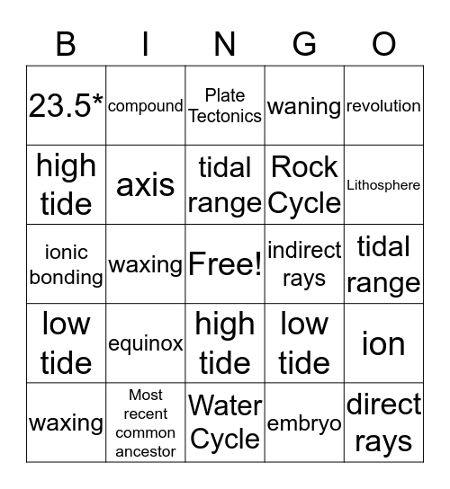 Leap Review Bingo Card