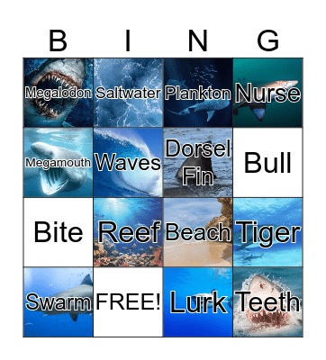 Sharky Bingo - Employee Appreciation Week Bingo Card