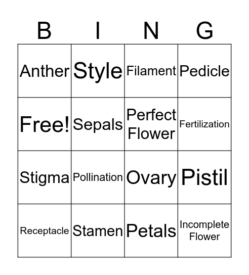 Flower Anatomy and Terms Bingo Card