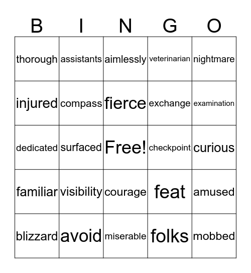 Vocabulary Bingo Card