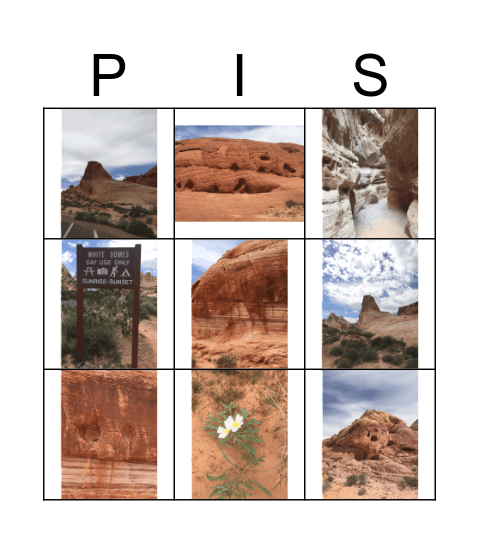 Pis Trip Bingo Card