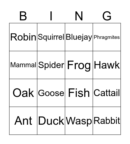 BIO 101 Bingo Card