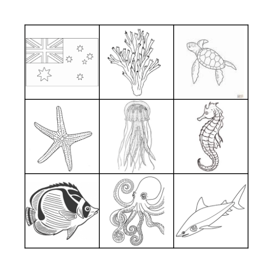 great barrier reef Bingo Card