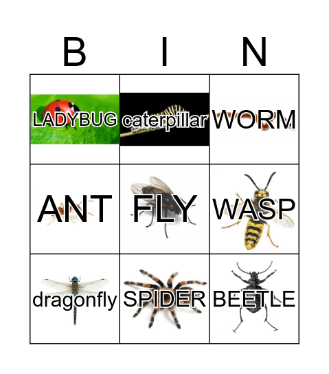 BUG BINGO Card