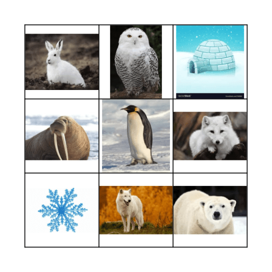 Arctic Bingo Card