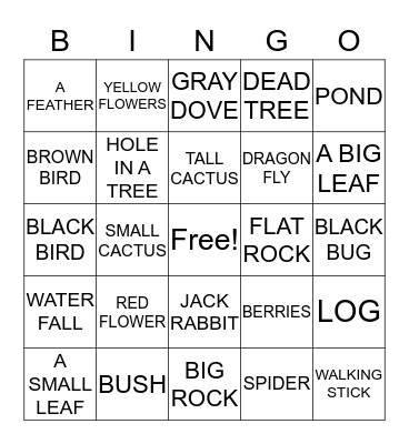 Nature Walk Bingo Card