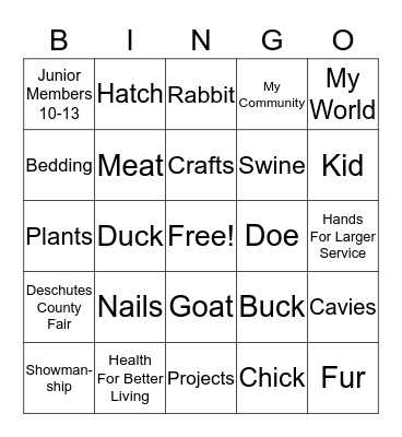 4-H  Bingo Card