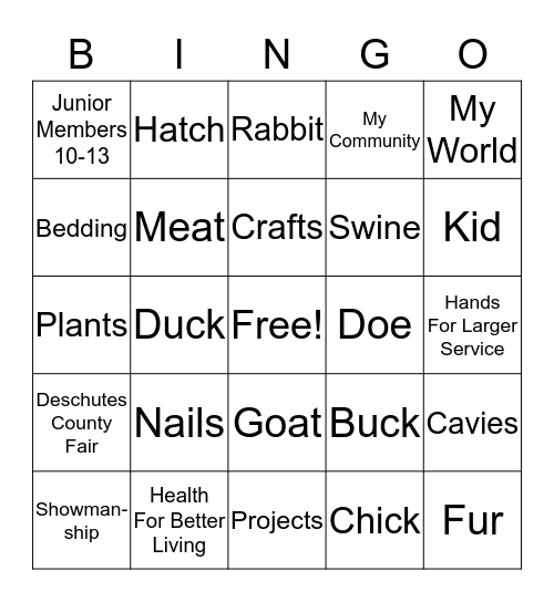 4-H  Bingo Card