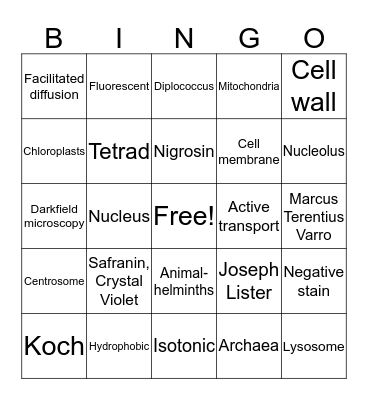 Test 1  Bingo Card