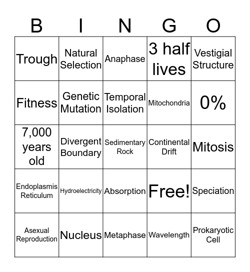 Vocab Review Bingo Card