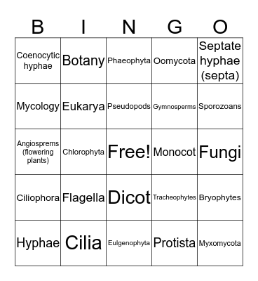 Protista, Fungi, & Plantae Bingo  Bingo Card