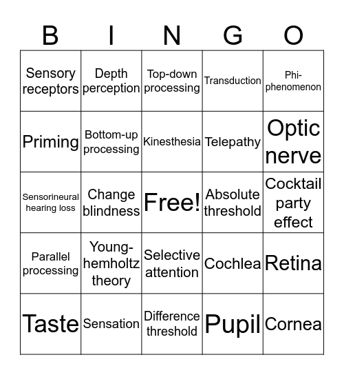 Sensation and Perception  Bingo Card