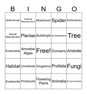 Classification Bingo Card