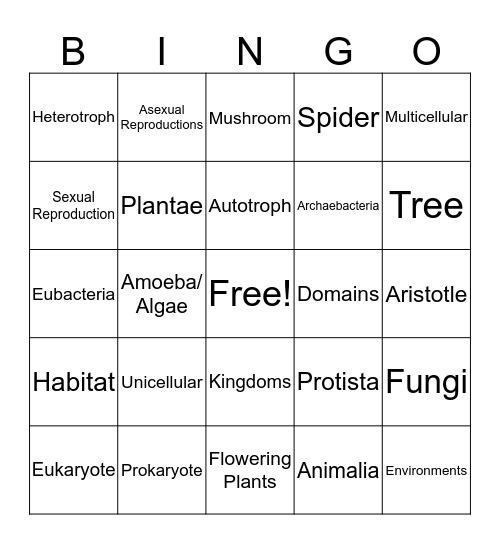 Classification Bingo Card