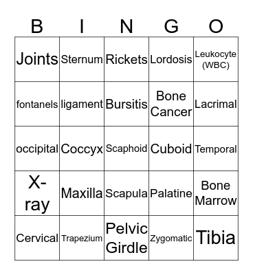 The Skeletal System Bingo Card