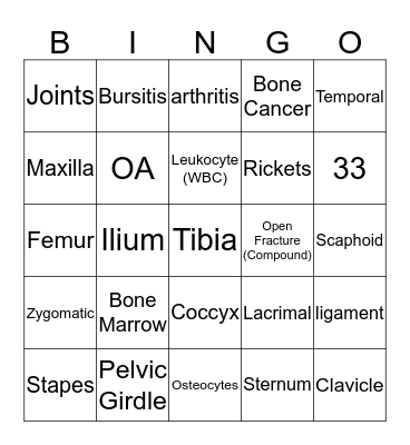 The Skeletal System Bingo Card