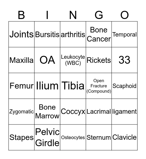 The Skeletal System Bingo Card