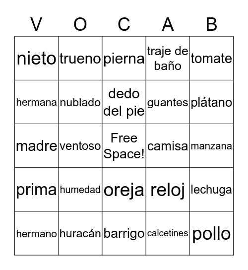 Spanish Vocabulary Review Bingo Card