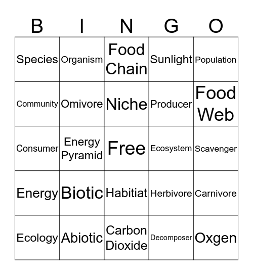 B-Bingo Card