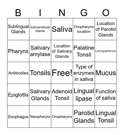 Salivary Glands, Pharynx, Esophagus Bingo Card