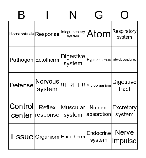 Body Systems Bingo Card