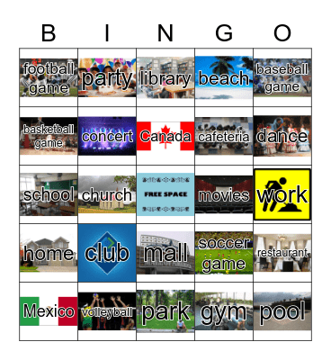 Zebra Places To Go Bingo Card