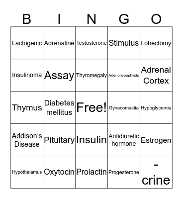 Talk to Me Endocrine System Bingo Card