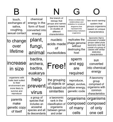 Classifications Bingo Card