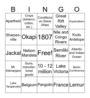 Africa Test Review Bingo Card