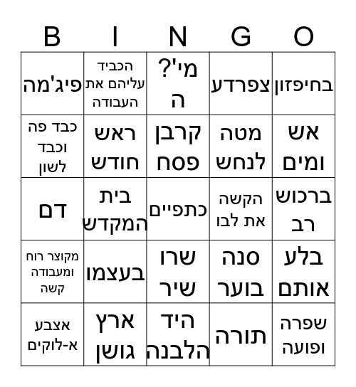 PESACH Bingo Card