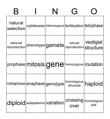Life Science Bingo Card