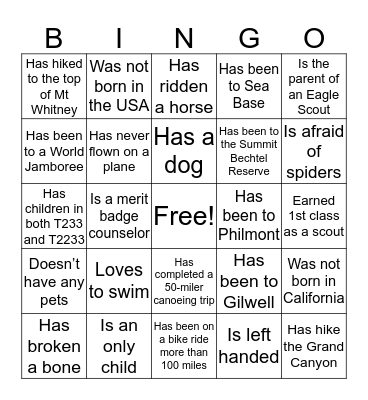Scout Bingo Card